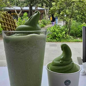 오설록 티 뮤지엄 대표 사진