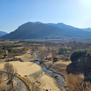 포레스톤 대표 사진