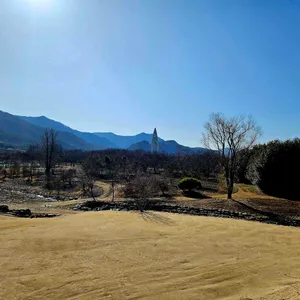 포레스톤 대표 사진