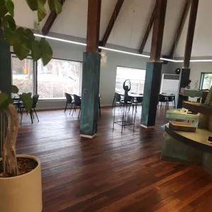 브런치앤숲 리뷰 사진