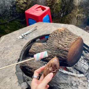 대디스바베큐 사진