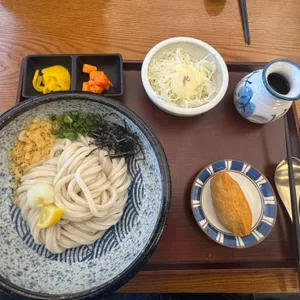 코시 대표 사진