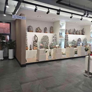 스톤398 대표 사진