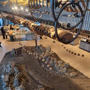 스타벅스 대표 사진