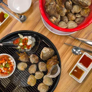 행운동조개 대표 사진