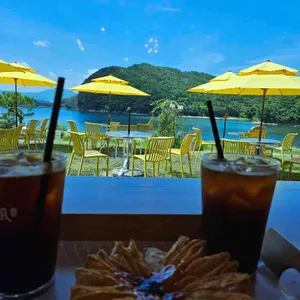 바실라 대표 사진