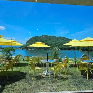 바실라 대표 사진