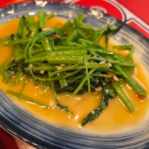 파라이 대표 사진