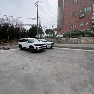 소바루 리뷰 사진