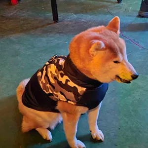 대포차 대표 사진