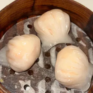 딩딤1968 대표 사진