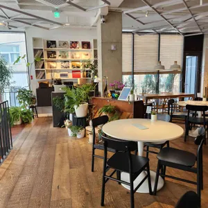 알 누오보 대표 사진