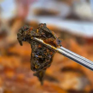 황금코다리 대표 사진