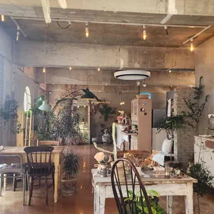 크샤나 대표 사진