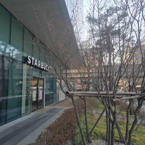 스타벅스 대표 사진