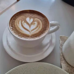 포포 대표 사진