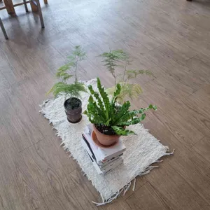 포포 리뷰 사진