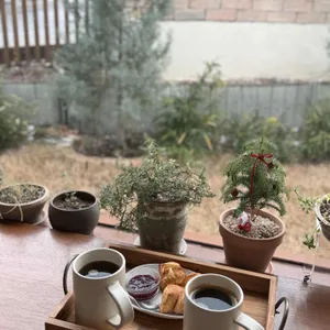 꽃비가 대표 사진