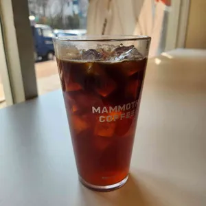 매머드익스프레스 대표 사진