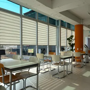 콜리나 대표 사진