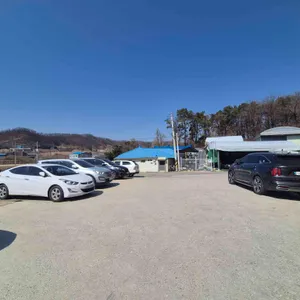 도토리칼국수 리뷰 사진