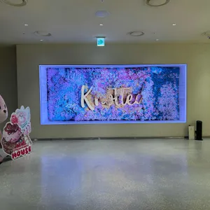 노티드월드 대표 사진