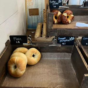 노틀담 리뷰 사진