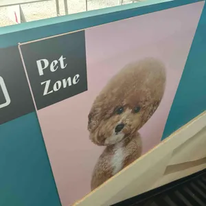 티욤핑크 대표 사진