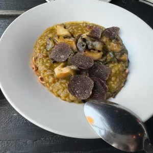 엘로코 대표 사진