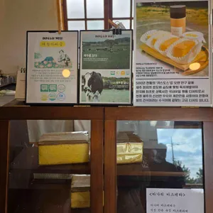 테라도스 리뷰 사진