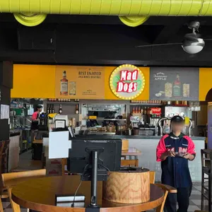 매드독스 대표 사진