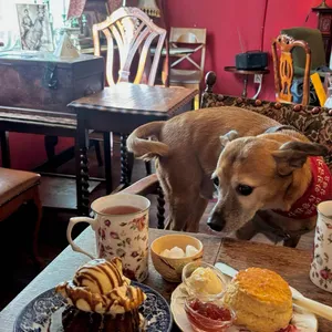 을지루이스 대표 사진