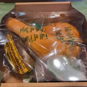 제주당 대표 사진