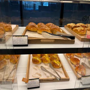 베이콜로지 빵학개론 리뷰 사진