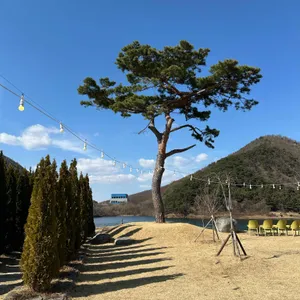 유리원 대표 사진