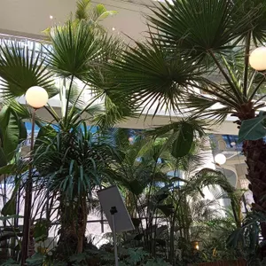 후탄 대표 사진