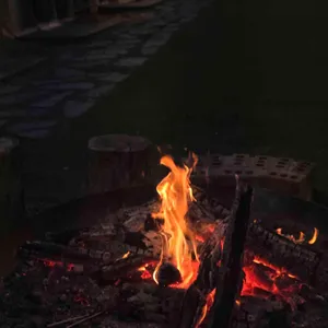 포레스트 가든 대표 사진