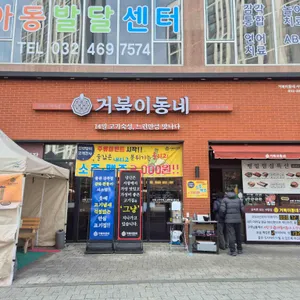 거북이동네 사진