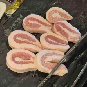 거북이동네 대표 사진