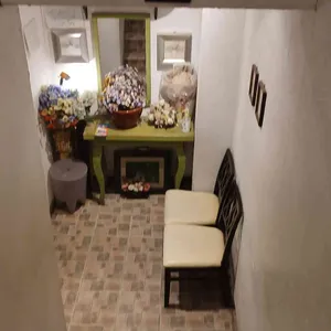 로뎀나무 대표 사진