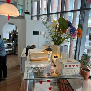 보니어 대표 사진