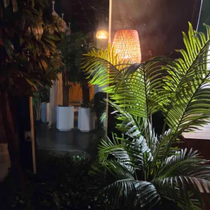 미드나잇포레스트 대표 사진