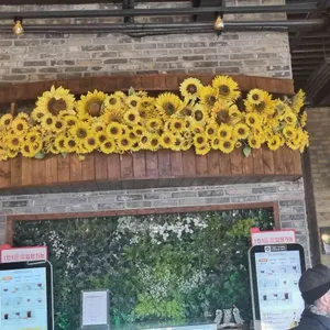 비아조 대표 사진