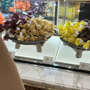 한정선 대표 사진