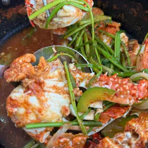 바다사자1983 사진