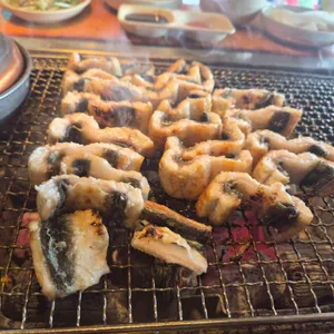 장어사냥 사진 1