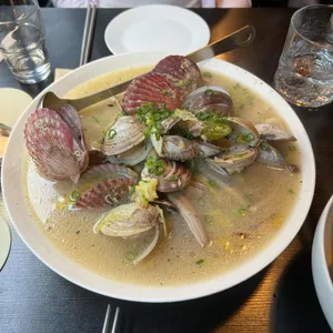 모디아 대표 사진