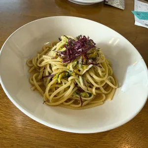 소보 대표 사진