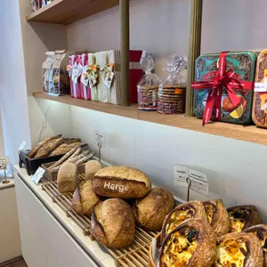 에르제 대표 사진