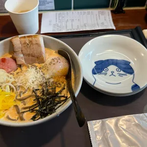 타라코소바 대표 사진